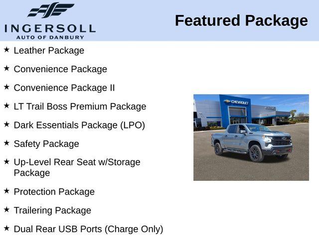 2024 Chevrolet Silverado 1500 Vehicle Photo in DANBURY, CT 06810-5034