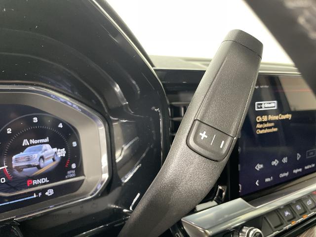 2025 GMC Sierra 1500 Vehicle Photo in GILBERT, AZ 85297-0402