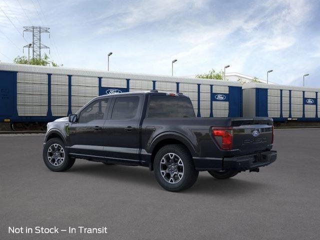 2025 Ford F-150 Vehicle Photo in Weatherford, TX 76087