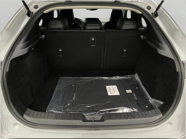 2025 Mazda CX-30 Vehicle Photo in Appleton, WI 54913