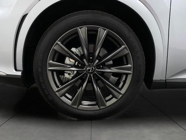2025 Lexus RX 350 Vehicle Photo in Appleton, WI 54913