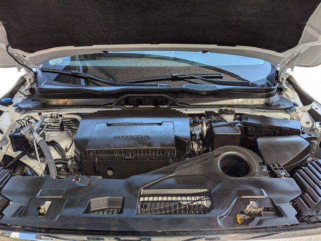 2024 Honda Pilot Vehicle Photo in San Antonio, TX 78230