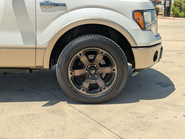 2012 Ford F-150 Vehicle Photo in SELMA, TX 78154-1459