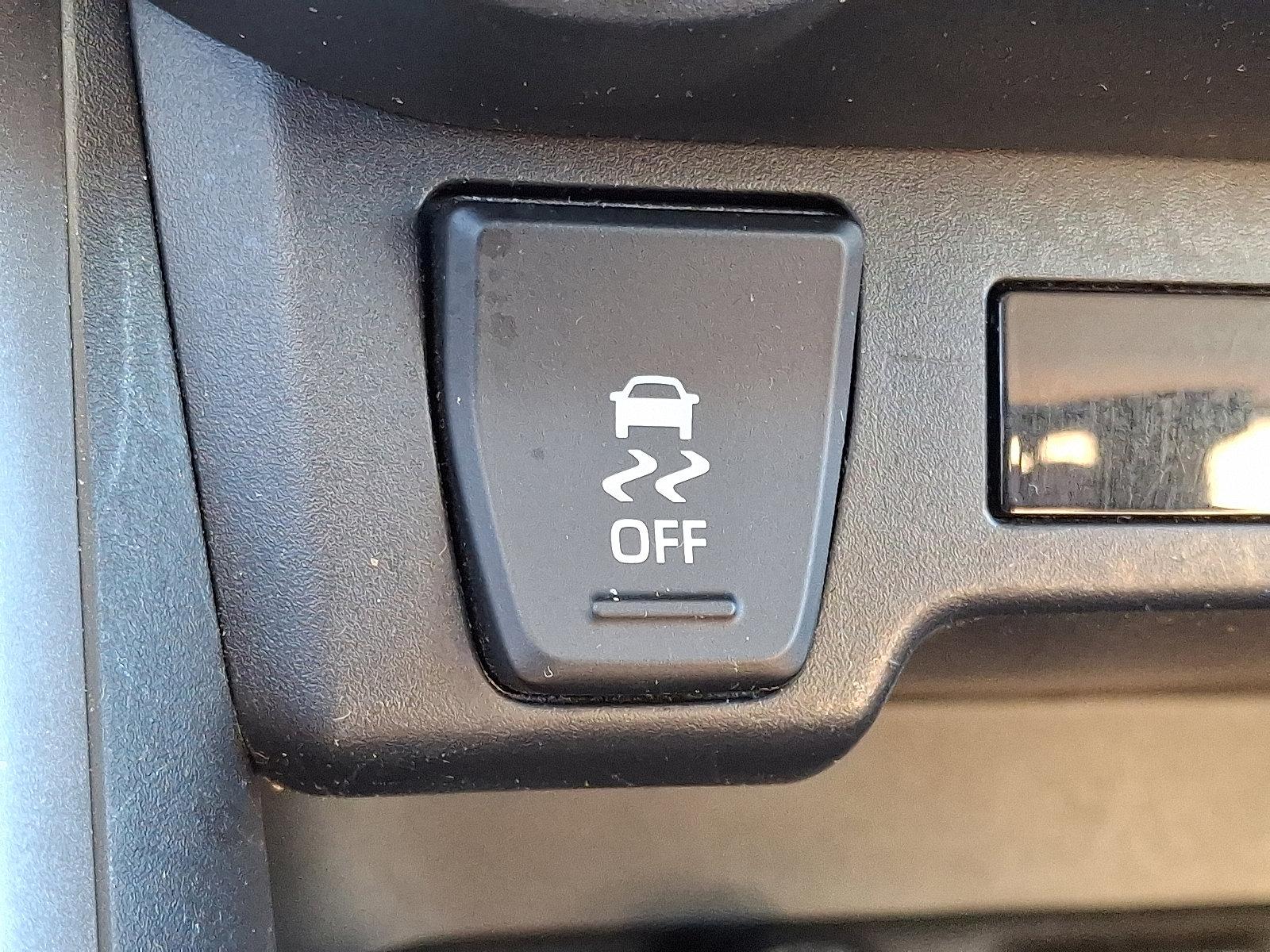 2019 Toyota RAV4 Vehicle Photo in Easton, PA 18045