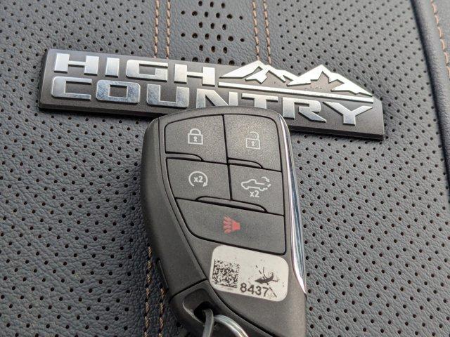 2024 Chevrolet Silverado 3500 HD Vehicle Photo in BRUNSWICK, GA 31525-1881