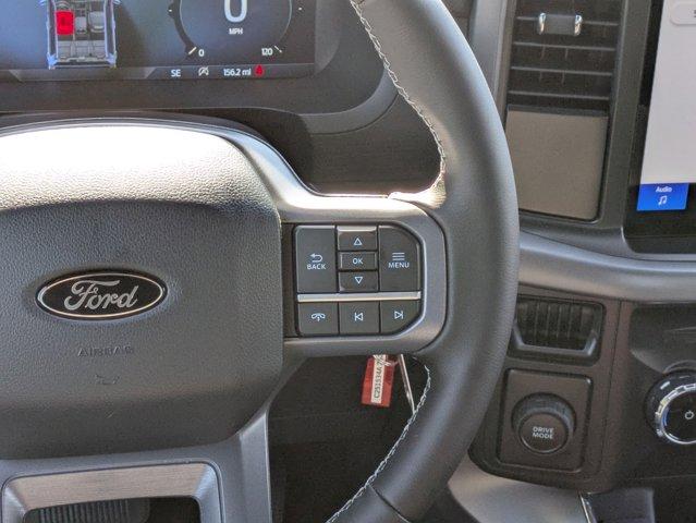 2025 Ford F-150 Vehicle Photo in SELMA, TX 78154-1460