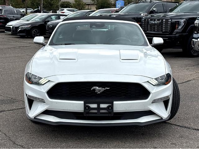 2022 Ford Mustang Vehicle Photo in BEAUFORT, SC 29906-4218