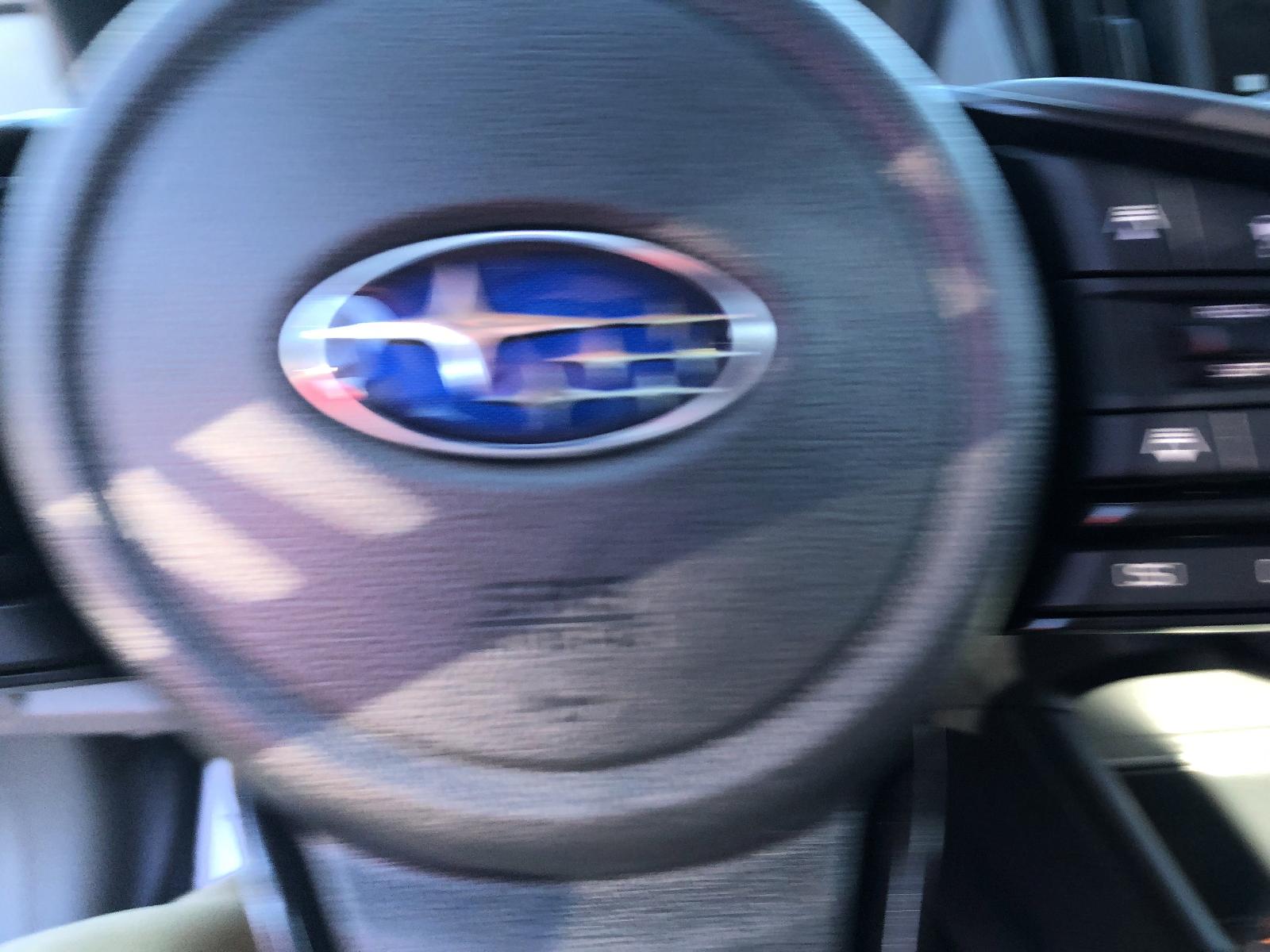 2025 Subaru Crosstrek Vehicle Photo in Mechanicsburg, PA 17050