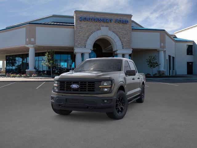 2025 Ford F-150 Vehicle Photo in Weatherford, TX 76087