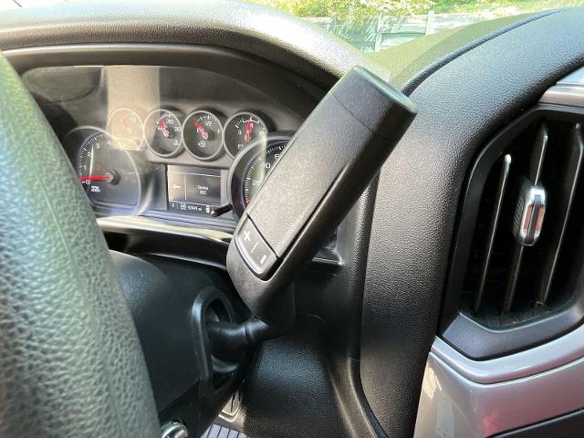 2020 Chevrolet Silverado 1500 Vehicle Photo in PITTSBURGH, PA 15226-1209