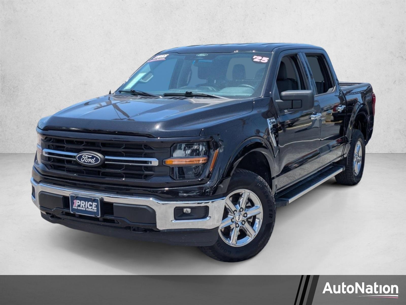 2025 Ford F-150 Vehicle Photo in Bradenton, FL 34207