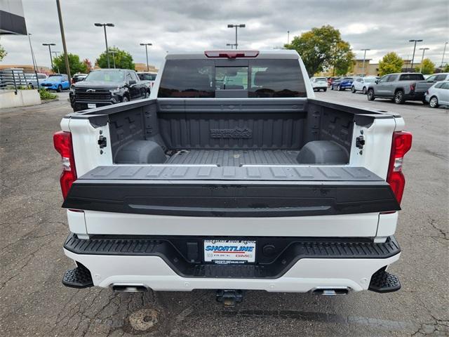 2024 Chevrolet Silverado 1500 Vehicle Photo in AURORA, CO 80012-4011