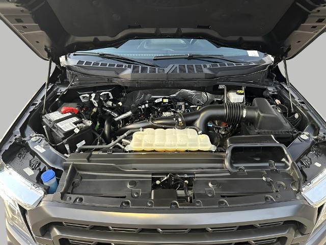 2023 Ford F-150 Vehicle Photo in MANITOWOC, WI 54220-5838