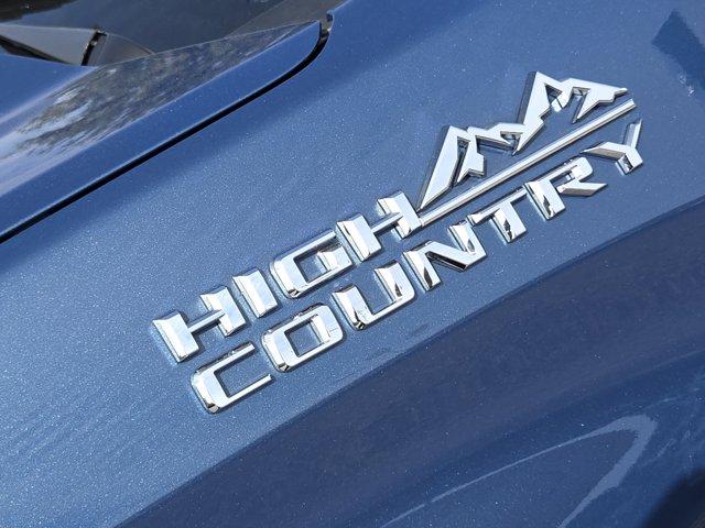 2024 Chevrolet Silverado 1500 Vehicle Photo in Decatur, TX 76234