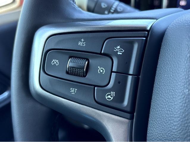 2024 Chevrolet Silverado 1500 Vehicle Photo in BEAUFORT, SC 29906-4218