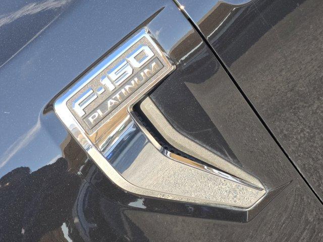 2023 Ford F-150 Vehicle Photo in Decatur, TX 76234