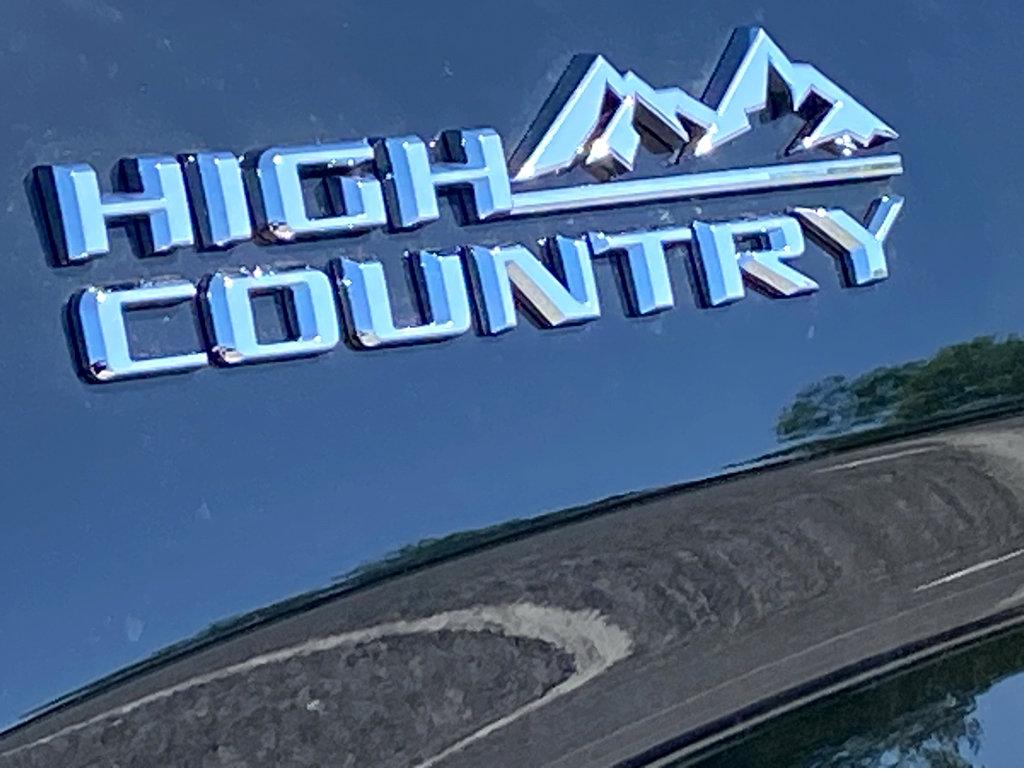 2025 Chevrolet Silverado 1500 Vehicle Photo in POOLER, GA 31322-3252