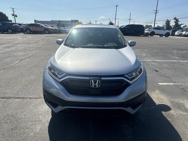 2022 Honda CR-V Vehicle Photo in ROCHESTER HILLS, MI 48307-2741