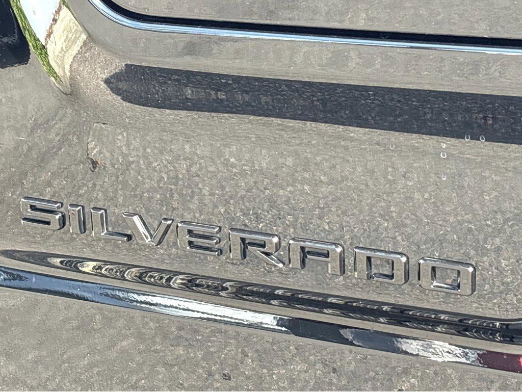 2024 Chevrolet Silverado 1500 Vehicle Photo in SAVANNAH, GA 31406-4513