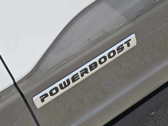 2025 Ford F-150 Vehicle Photo in Weatherford, TX 76087