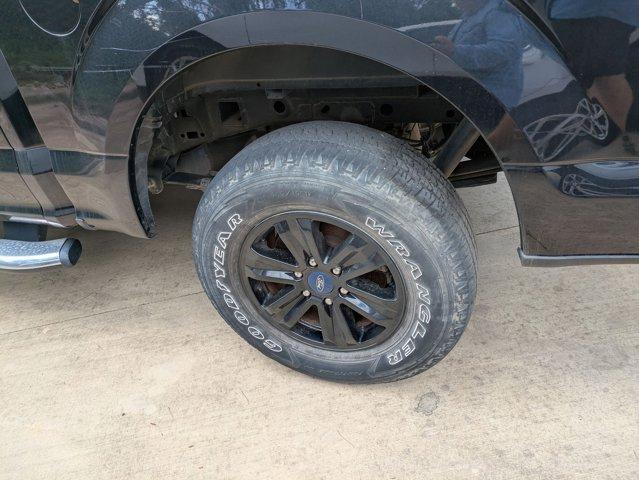 2019 Ford F-150 Vehicle Photo in SELMA, TX 78154-1459