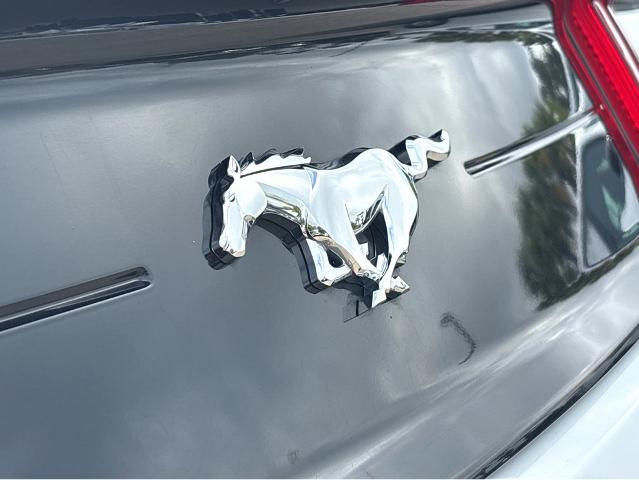 2022 Ford Mustang Vehicle Photo in BEAUFORT, SC 29906-4218