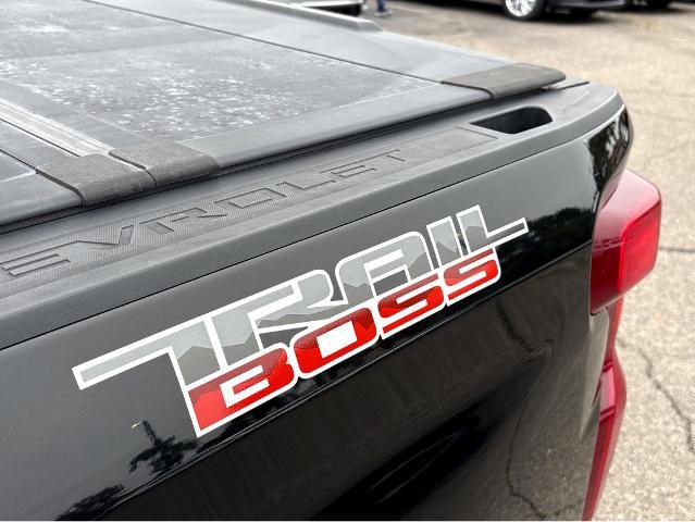 2019 Chevrolet Silverado 1500 Vehicle Photo in BEAUFORT, SC 29906-4218