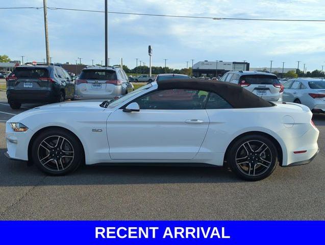 2020 Ford Mustang Vehicle Photo in Merrillville, IN 46410