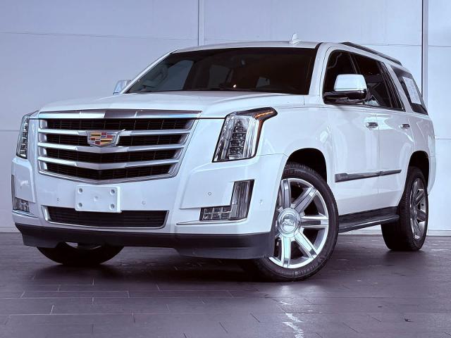 2019 Cadillac Escalade Vehicle Photo in HOUSTON, TX 77079