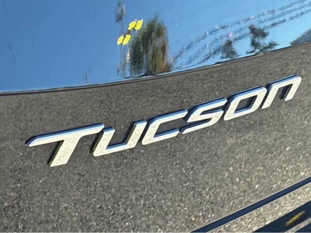 2023 Hyundai TUCSON Vehicle Photo in Hinesville, GA 31313