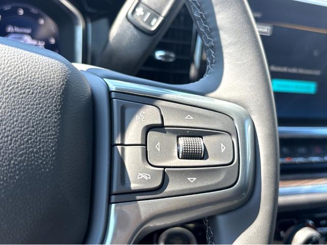 2025 Chevrolet Silverado 1500 Vehicle Photo in SAVANNAH, GA 31406-4513