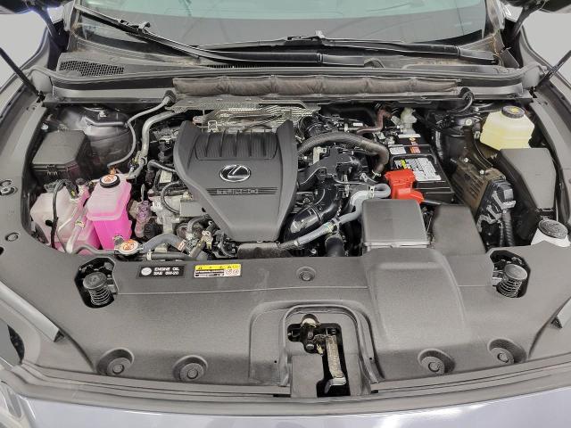 2024 Lexus RX Vehicle Photo in NEENAH, WI 54956-2243