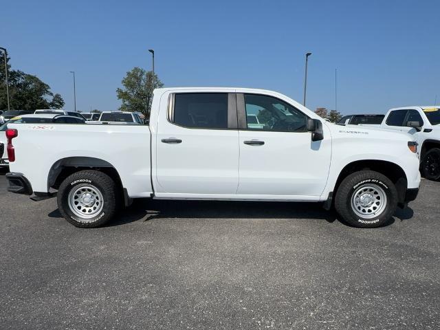 2023 Chevrolet Silverado 1500 Vehicle Photo in COLUMBIA, MO 65203-3903
