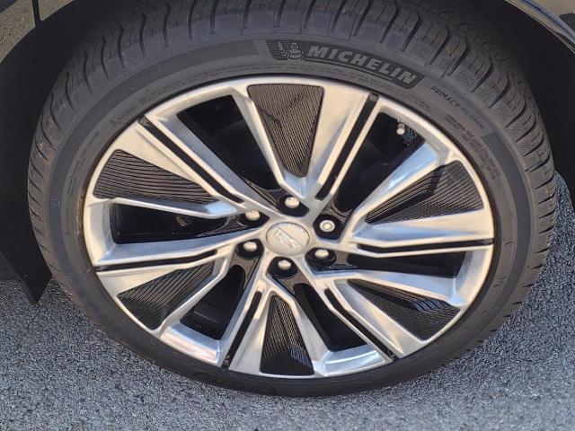 2025 Cadillac LYRIQ Vehicle Photo in Denton, TX 76205