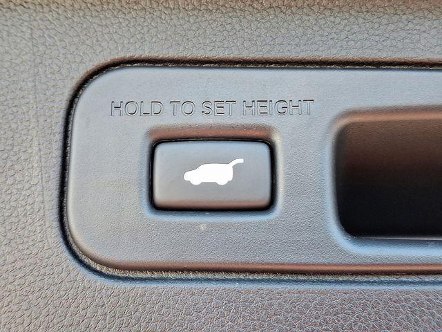 2025 Honda Pilot Vehicle Photo in DANBURY, CT 06810-5034