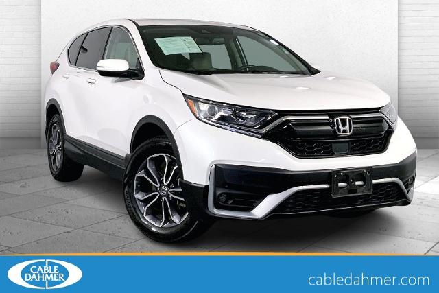 2022 Honda CR-V Vehicle Photo in KANSAS CITY, MO 64114-4502