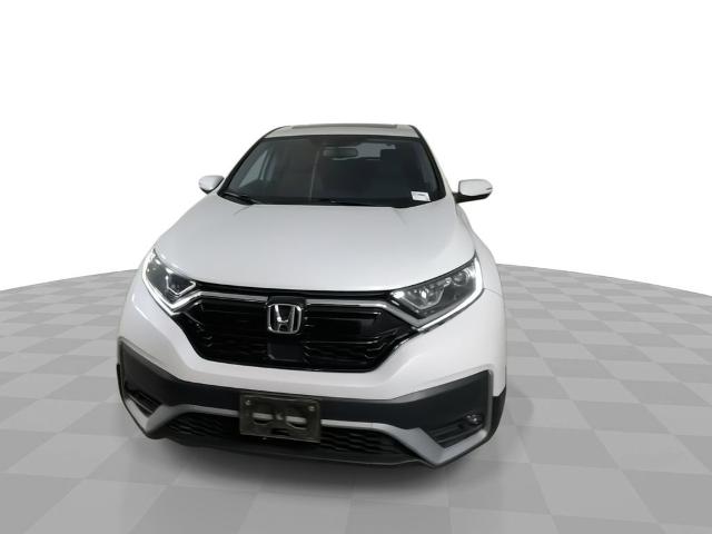 2020 Honda CR-V Vehicle Photo in GILBERT, AZ 85297-0402