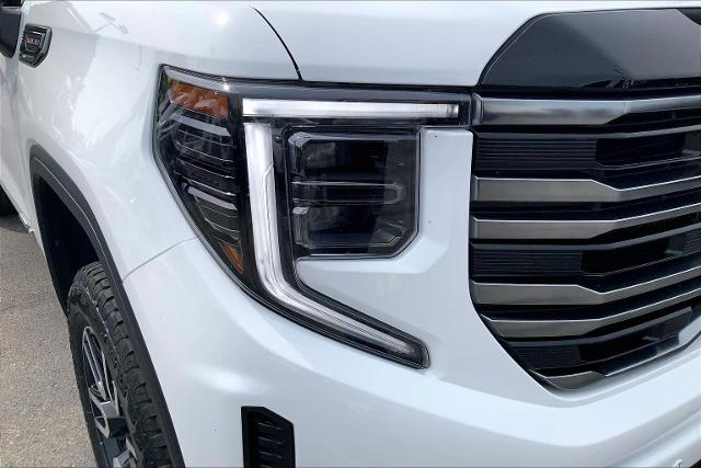 2025 GMC Sierra 1500 Vehicle Photo in INDEPENDENCE, MO 64055-1377