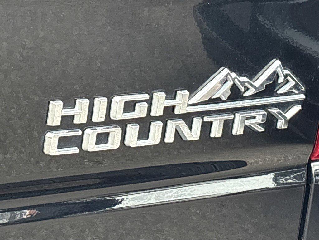 2019 Chevrolet Silverado 1500 Vehicle Photo in SAVANNAH, GA 31406-4513