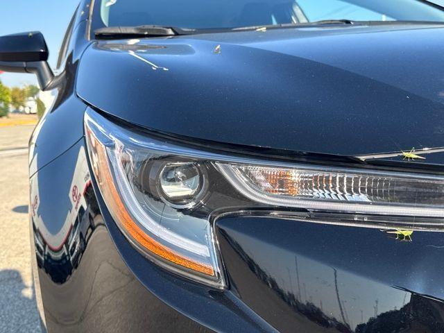 2023 Toyota Corolla Vehicle Photo in Jonesboro, AR 72404