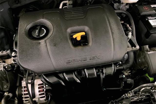 2023 Kia Soul Vehicle Photo in Lees Summit, MO 64086