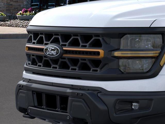 2025 Ford F-150 Vehicle Photo in Weatherford, TX 76087