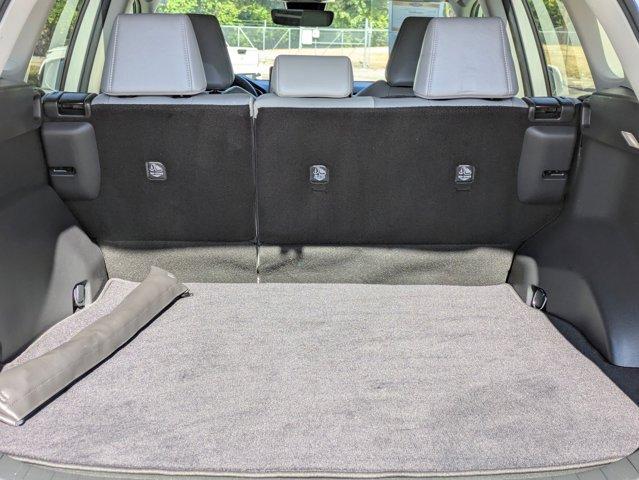 2023 Toyota RAV4 Vehicle Photo in San Antonio, TX 78209