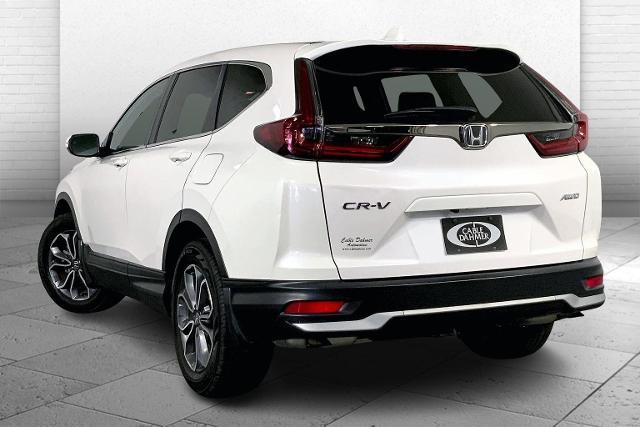 2022 Honda CR-V Vehicle Photo in KANSAS CITY, MO 64114-4502