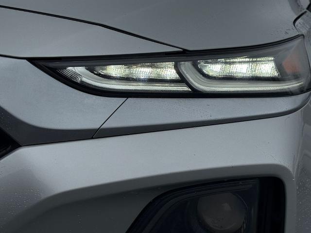 2019 Hyundai SANTA FE Vehicle Photo in Statesboro, GA 30458