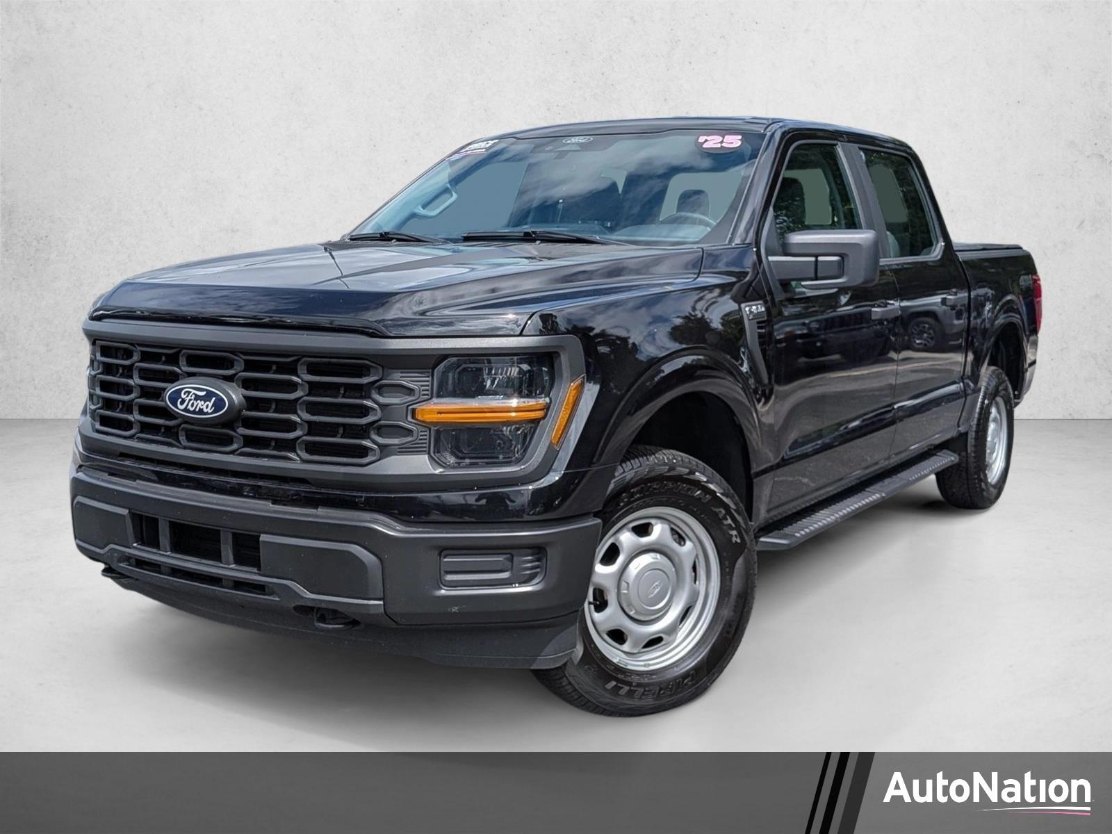 2025 Ford F-150 Vehicle Photo in Panama City, FL 32401