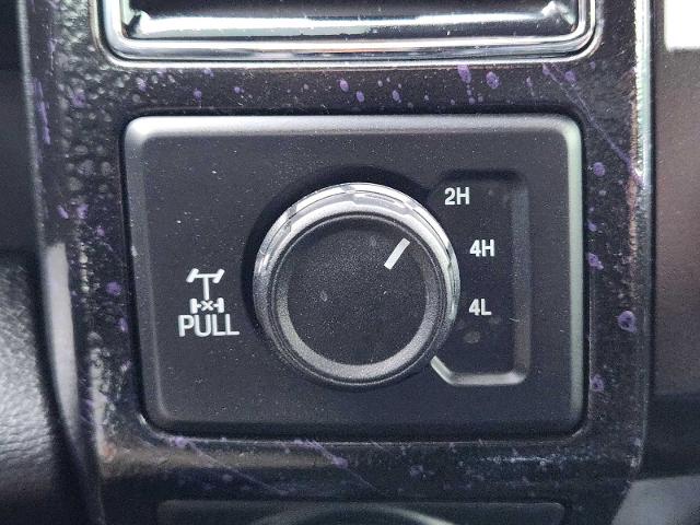2020 Ford F-150 Vehicle Photo in DENTON, TX 76210-9321