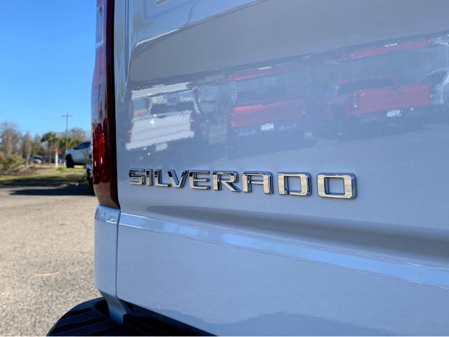 2025 Chevrolet Silverado 1500 Vehicle Photo in BEAUFORT, SC 29906-4218