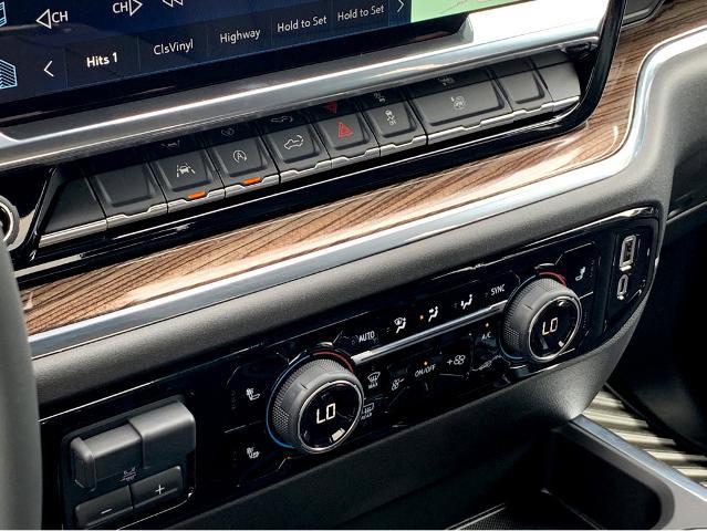 2025 Chevrolet Silverado 1500 Vehicle Photo in BEAUFORT, SC 29906-4218