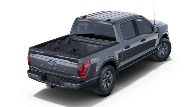 2025 Ford F-150 Vehicle Photo in Weatherford, TX 76087
